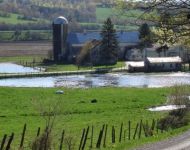 2011-05-05-doring