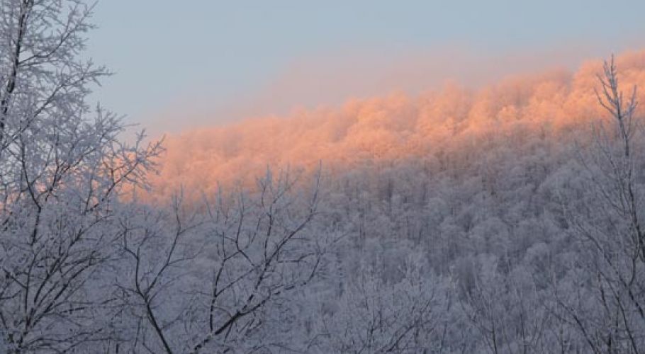 2015-03-01-L