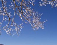 2011-02-16-wright