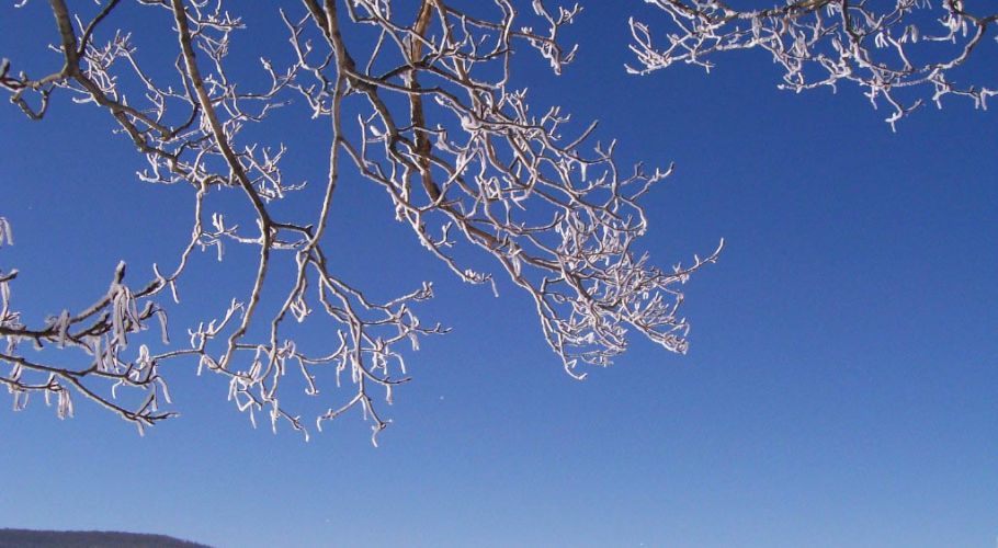 2011-02-16-wright
