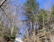 2011-03-21-brock-L