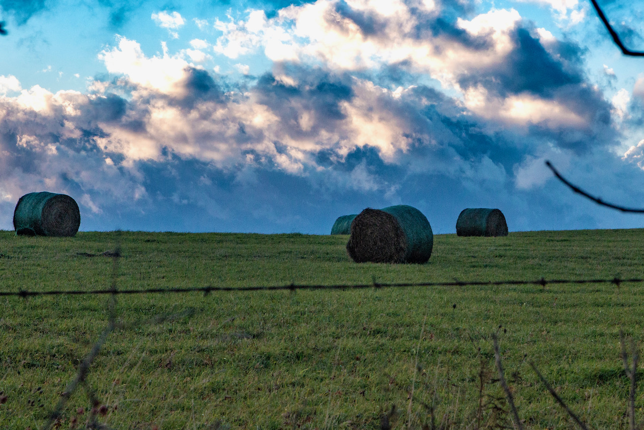 Round Bales and Sky